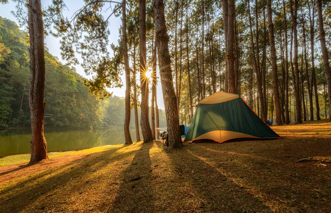 7 Ways to Save Money on Camping Costs image
